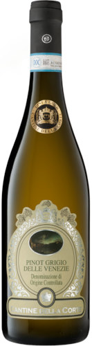 Pinot Grigio Doc